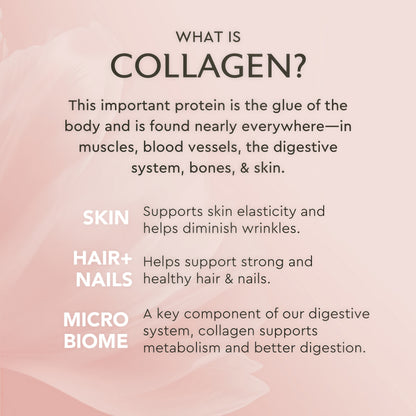 Alaya Multi Collagen Powder Supplement 40 Servings
